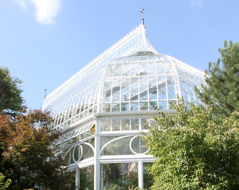 visiting Phipps Conservatory and Botanical Garden