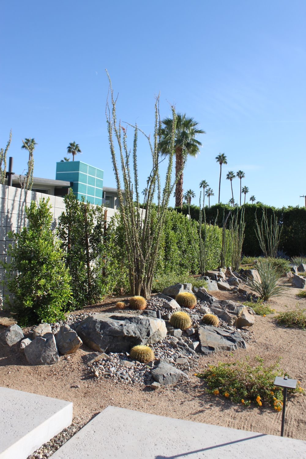 Planting on a residential street corner in Palm Springs