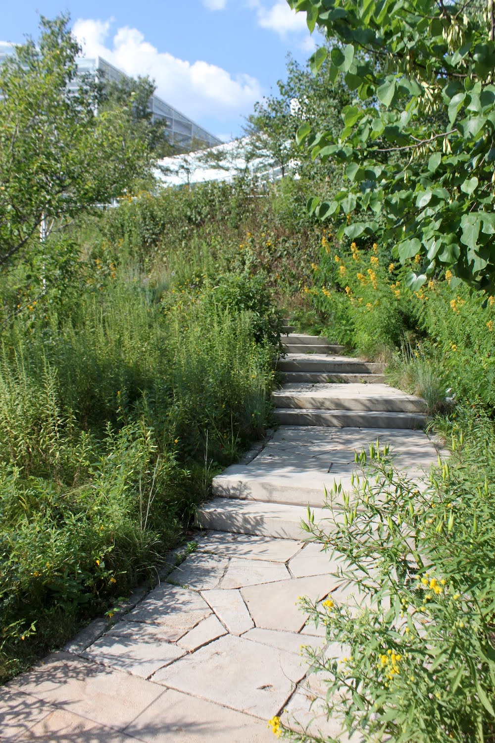 The Path that draws the garden visitor onward